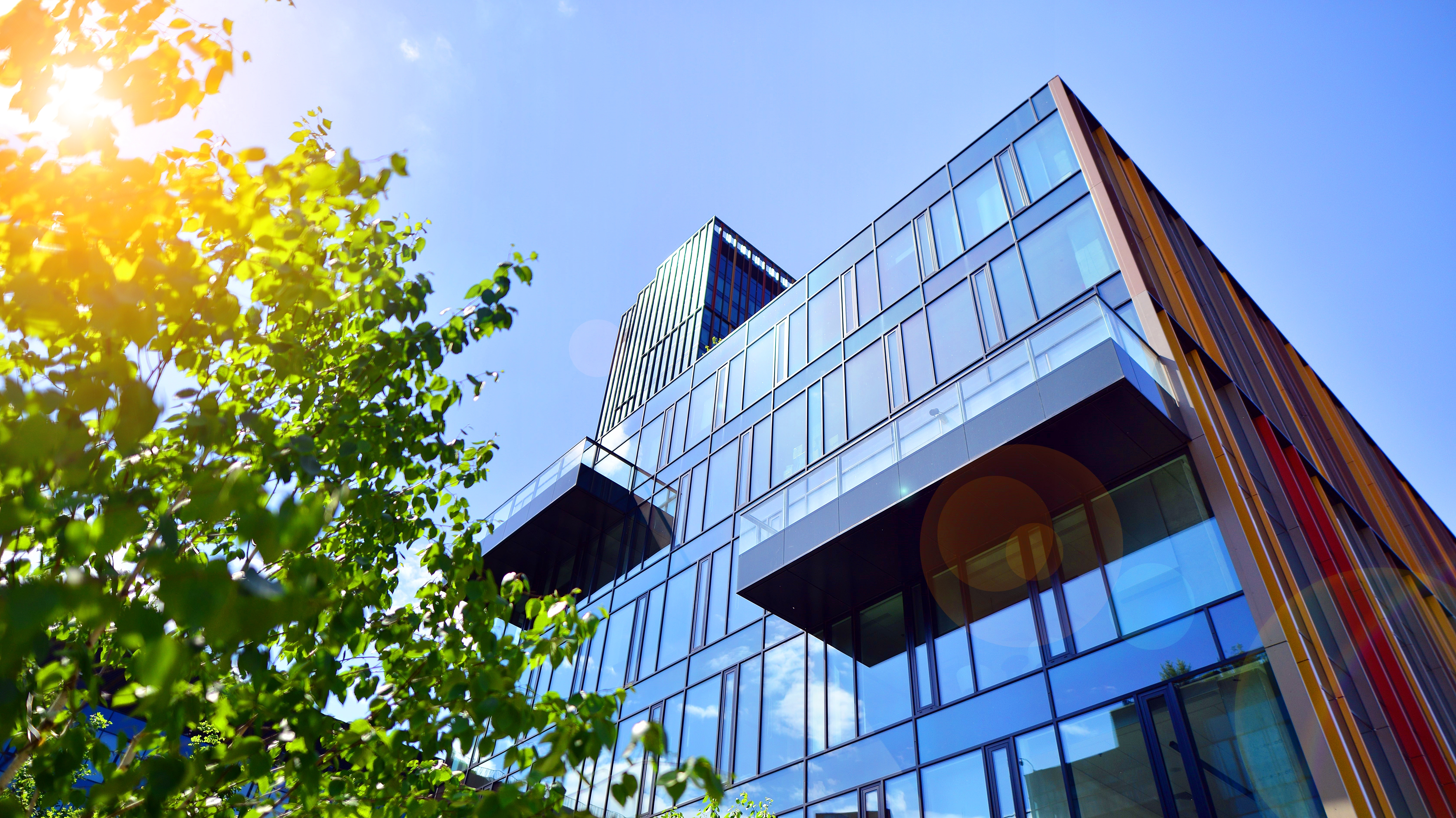 Illustration du moteur de recherche